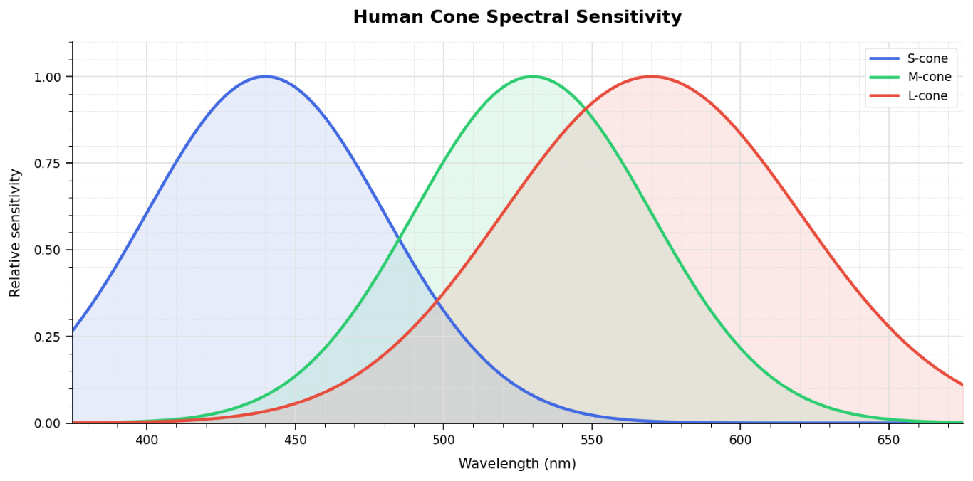 Cone sensitivity diagram