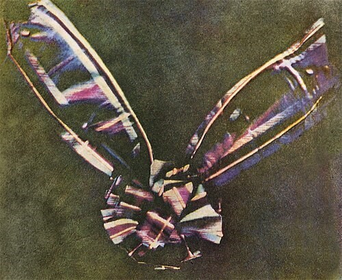 Maxwell and Sutton's Tartan Ribbon